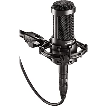 Audio-Technica AT2020